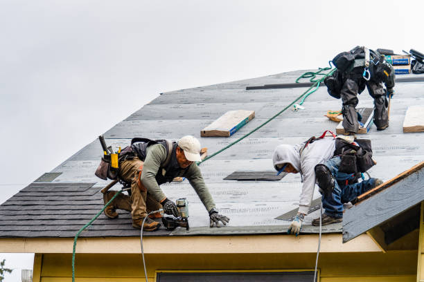Professional Roof Replacement technician working in Brandenburg, KY